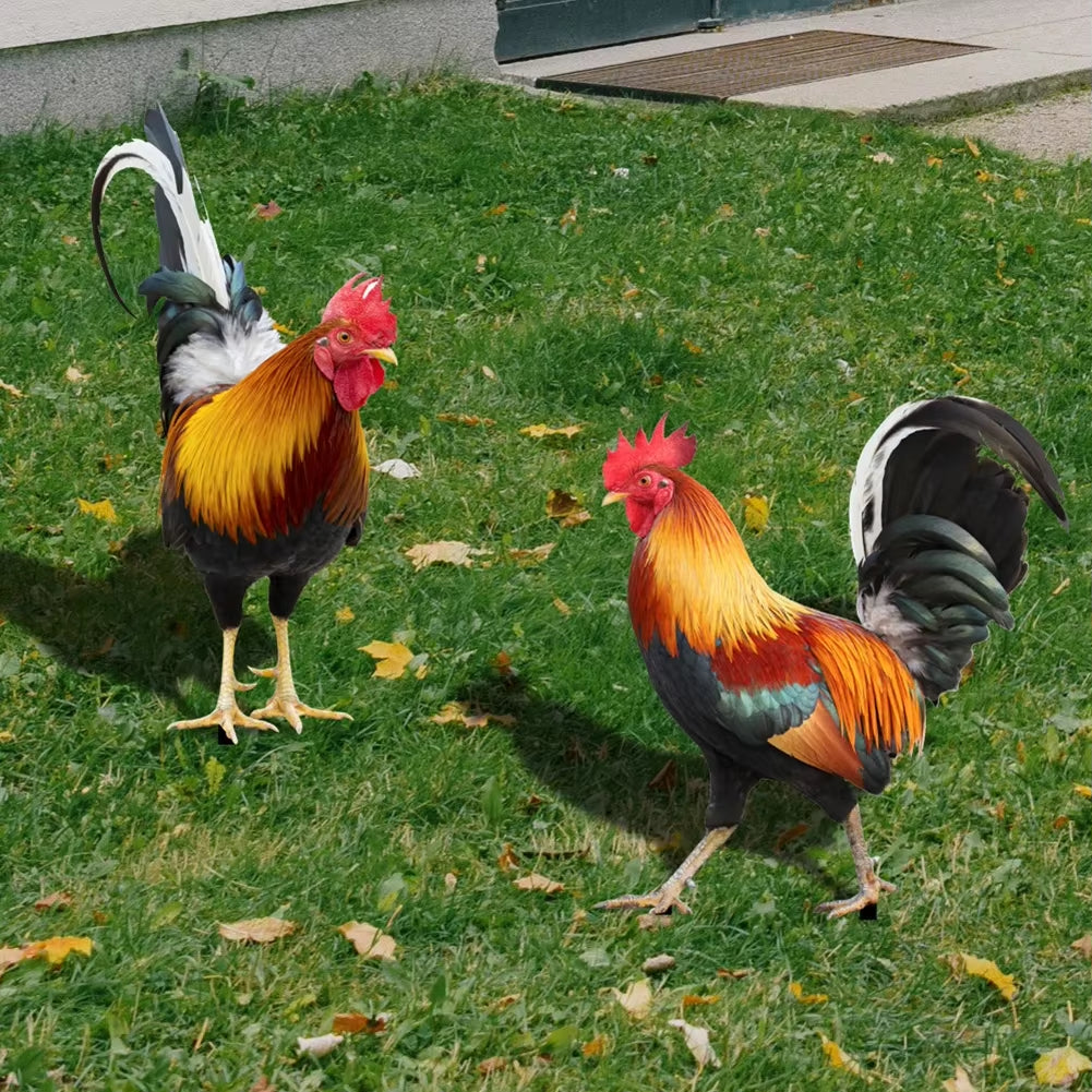 2PCS Decorative Garden Chicken Statue Ornamental Decoration of Yard and Garden Acrylic for Garden Patio Backyard Decoration