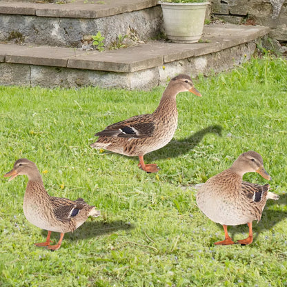 1Pcs Acrylic Duck Garden Stake Garden Decoration Chicken Garden Figures Yard Garden Statue Decor Outdoor Lawn Decor Decoration