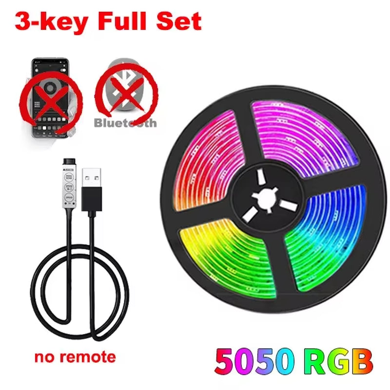 Rgb Led Strip Bluetooth 5050 Usb 5V Led Lights Chain 5M 10M Backlight Tape Ice String Tira Led Wifi Led Wall Room Ribbon Band